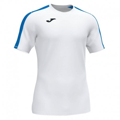 Футболка игровая Joma ACADEMY III 101656.207 бело-синяя